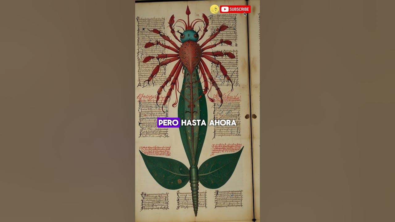 El Libro Más Misterioso del Mundo: El Manuscrito Voynich #voynich
