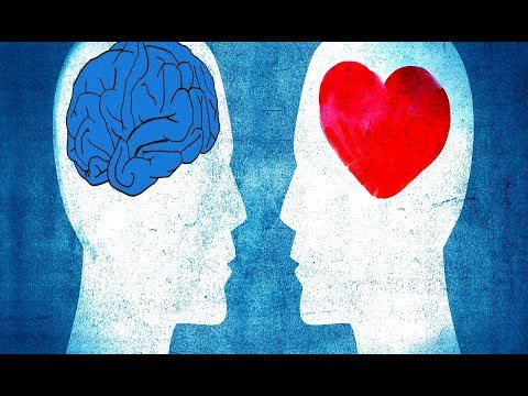 Vidéo: L'intelligence émotionnelle: Qu'est-ce Que C'est Et Comment L'appliquer à Votre Vie
