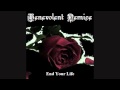 Benevolent Demise- Into Darkness