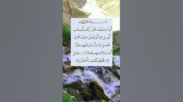 #تلاوات #مكة_المكرمة #القران_الكريم_راحه_نفسية #ياسر_الدوسري #تلاوة_خاشعة