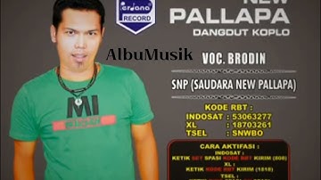 Brodin - Saudara New Pallapa