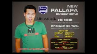 Brodin - Saudara New Pallapa