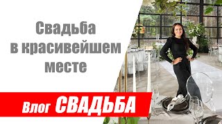 видео: Свадебный влог / Гагаузская свадьба на 100 человек в Москве на очень красивой лесной площадке картинка: Свадебный влог / Гагаузская свадьба на 100 человек в Москве на очень красивой лесной площадке