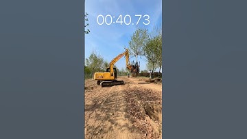 dig 50 trees a day, 300 trees a day, #excavator #tree digger evergreen #construction #shorts