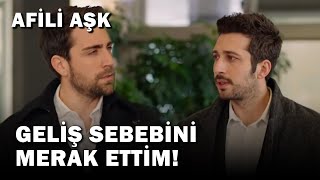 Kerem Ömeri İstemedi - Afili Aşk 34 Bölüm