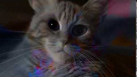 Shortest video on YouTube part 9