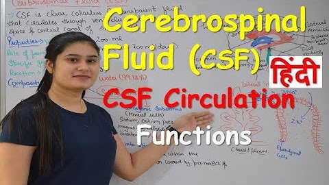 Lecture 6 | Cerebrospinal fluid in Hindi (CSF) | Functions | Production | CSF Circulation