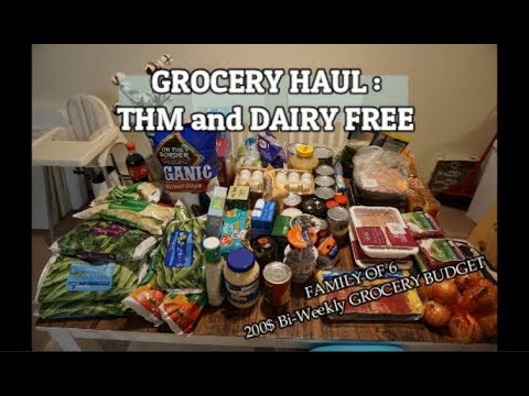 Grocery Haul ON A BUDGET | Trim Healthy Mama THM | Dairy Free | Family of 6 200$ Bi-Weekly