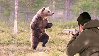 Hunters' confrontations with the fiercest predator bears are breathtaking scenes by The Art Of Hunt 23,414 views 1 month ago 8 minutes, 38 seconds