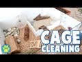 Cleaning & Setting Up Potassium's Hamster Cage