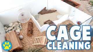 Cleaning My Dwarf Hamster Cage | June 2017