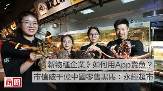 新物種企業》如何用App賣魚？市值破千億中國零售黑馬：永輝超市｜商周報導