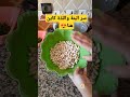 لوبيا او فاصوليا بيضاء ساهلة ماهلة مع سر البنة اللذة وصفات رجاء ام صفوان وصفات المغرب Shortvideo 