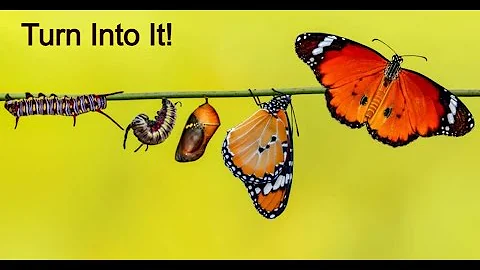 Turn Into It!   Apostle Theresa Simmons