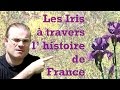 Les iris  travers lhistoire de france