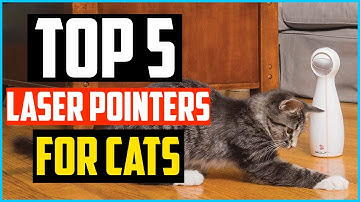 Top 5 Best Laser Pointers For Cats Review In 2024