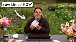 6 Perennial Cut Flowers To Sow In September (Before Its Too Late)