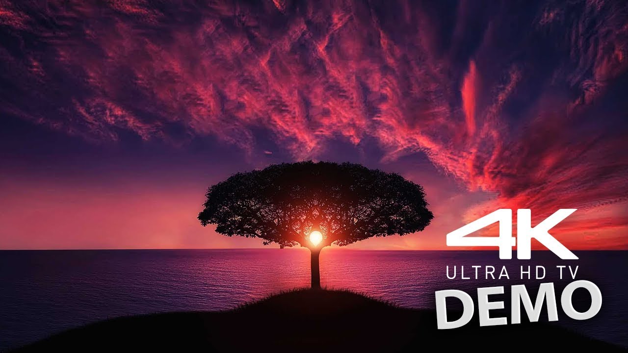 4K VIDEO UltraHD HDR Sony 4K VIDEOS Demo