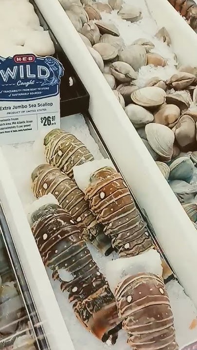 HEB Fish Market YouTube celebrity-house-hunting-i-m-gonna-catch-the-biggest-fish