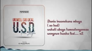 Papafau60_U.S.D freestyle ( lyrics video )