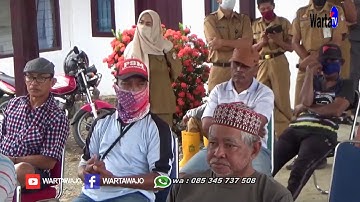 Bupati Wajo Bersama Dinas Perikanan Melakukan Penebaran Bibit Ikan Di danau Tempe