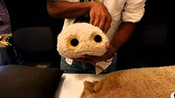 FuwaFuwa in ACM SIGGRAPH 2011 Emerging Technologies