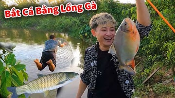 Hậu Cáo - Dùng Lồng Gà Bắt Cá Chắm Cực Chất || Câu Cá Chim