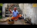 Snake Charmer 4k Cobra Dancing Flute Amazing Street Performer Sri Lanka