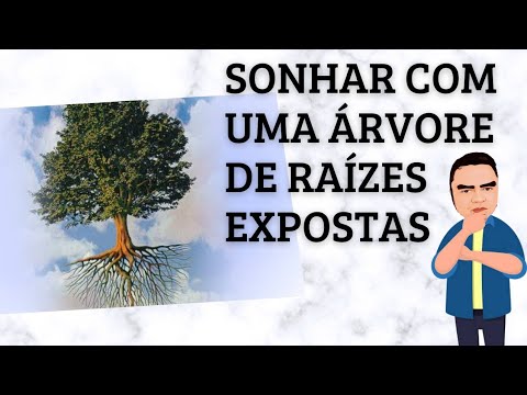 Vídeo: Raízes de árvores expostas: o que fazer com uma árvore com raízes à mostra