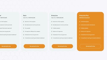The 4 Distinct Bulkpay Packages