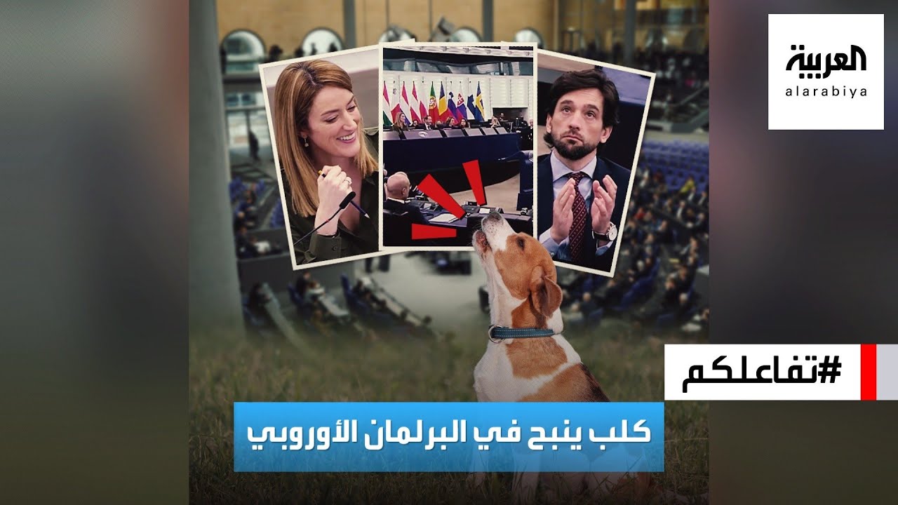 تفاعلكم : كلب ينبح في البرلمان الأوروبي وملامح الصدمة على وجوه الأعضاء