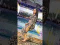 حظي على افراح المنصوره عبد السلام واوشه والغمراوي ورضا البحراوي والسيد حسن تامر شريعه شلاشه حظي على افراح المنصوره عبد السلام واوشه والغمراوي ورضا البحراوي والسيد حسن تامر شريعه شلاشه