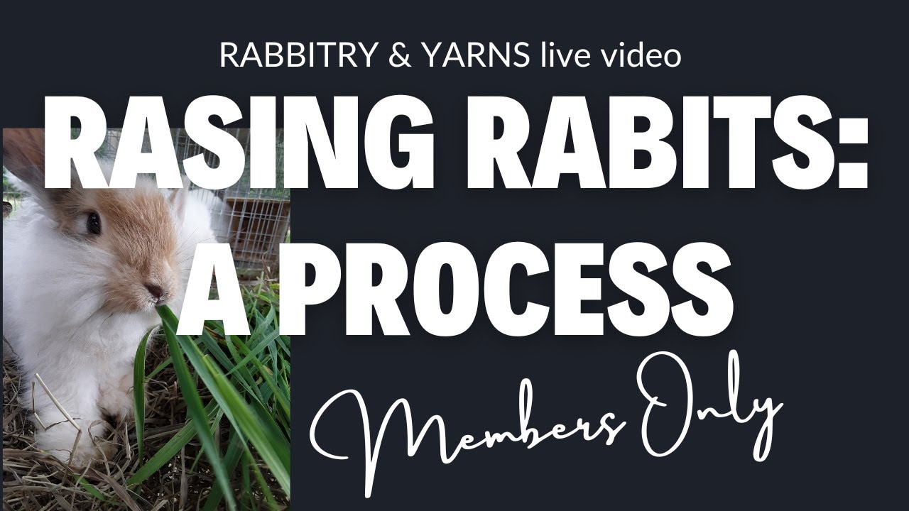 The live video, in case you missed it. :)