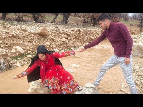 Masoumeh's Border of