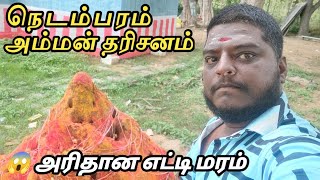 🔱நெடம்பரம் ஸ்ரீ அம்மன் கோவில் | Arcot Kuppam | Rare Nux Vomica tree😬 | Ride Tractor??? 🚜 #தமிழில்