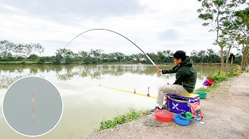 Mồi câu trắm đen - Chia sẻ cách câu cá trắm đen mùa đông hiệu quả