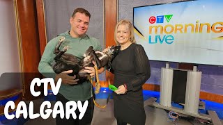 Frisbee Rob and Sailor on CTV Morning Live Calgary