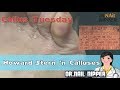 Howard Stern and Calluses