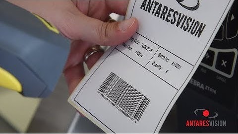 Antares Vision Group | Matrix Station with HTS / Aggregation Station