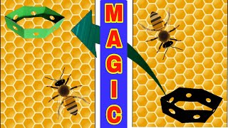 #127magictrick - How To Make Honeycomb Magic Trick Anyone Can Do ( TUTORIAL )