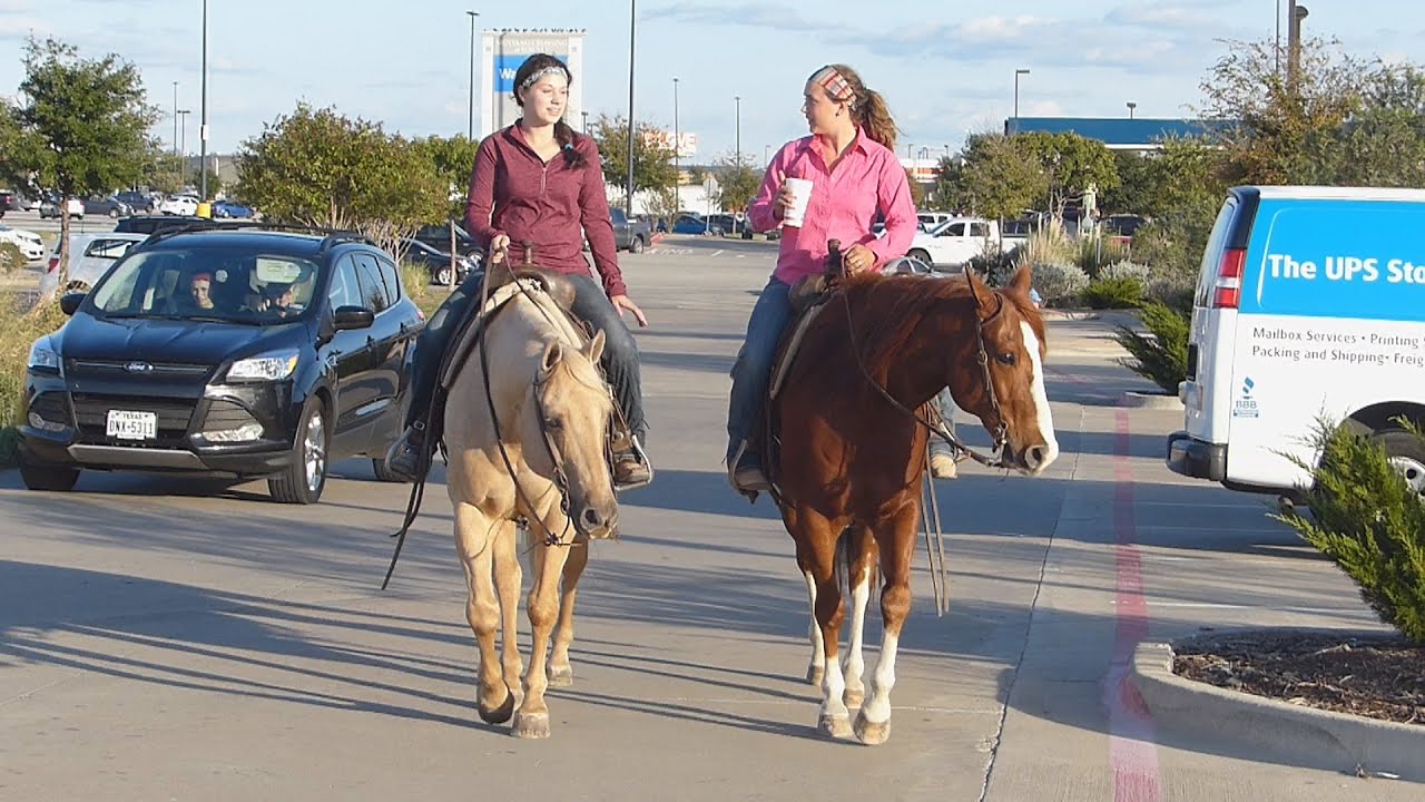 Horses Miracles Ride Rainbow and New Queens Miracle - riding in town - Valley View Ranch ...