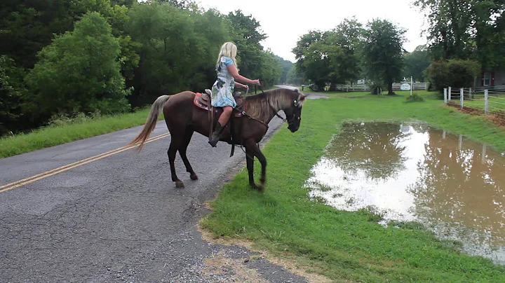Jack Daniels in Big Water puddle