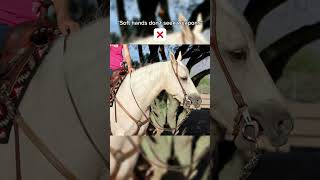 "SOFT HANDS DON'T SEEK WEAPONS" #horse #abuse #stophorseabuse #shorts screenshot 4