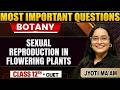 Sexual Reproduction in Flowering Plants | Biology |CBSE Class 12th |CUET |Most Imp Questions & PYQ`s