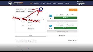THE TRADING SECRET, RISE FALL TRADING STRATEGY BINARY.COM 100% WIN