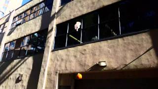 Northeastern Pumpkin Drop 2014 - Team Basement Design