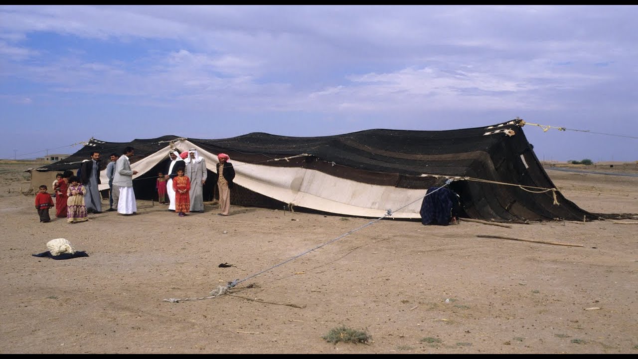 قصه وقصيده من الباديه 🐪🐪من تراث نجد والحجاز🐪🐪