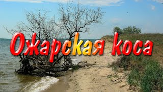 Ожарская коса (2009-2015)