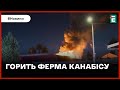 🔥 МАСШТАБНА ПОЖЕЖА 💥 У Лос-Анджелесі горить нелегальна ферма із вирощування канабісу