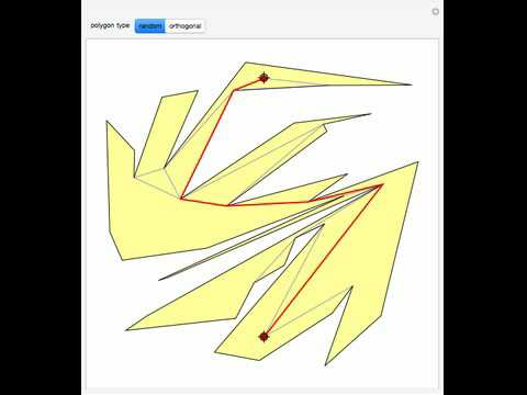 Paths inside a Polygon